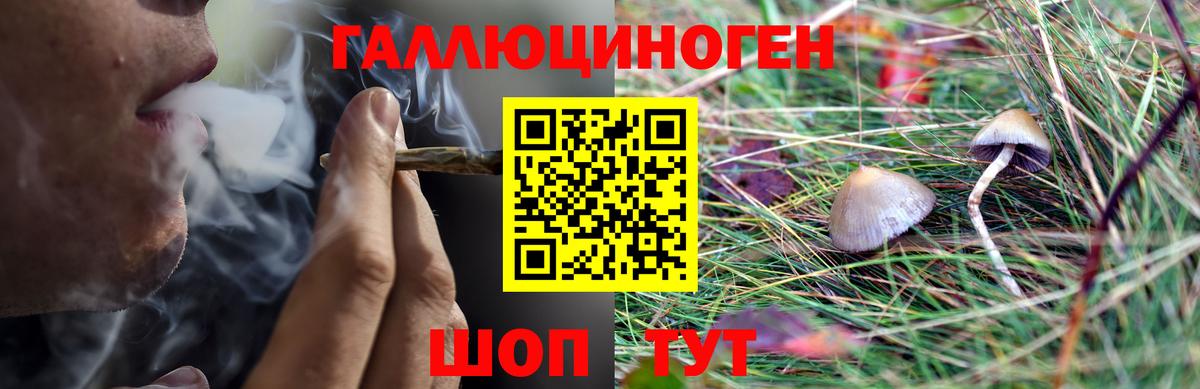 Кингисепп  Псилоцибиновые грибы Magic Shrooms  Галлюциногенные грибы MAGIC MUSHROOMS  Вход с VPN 